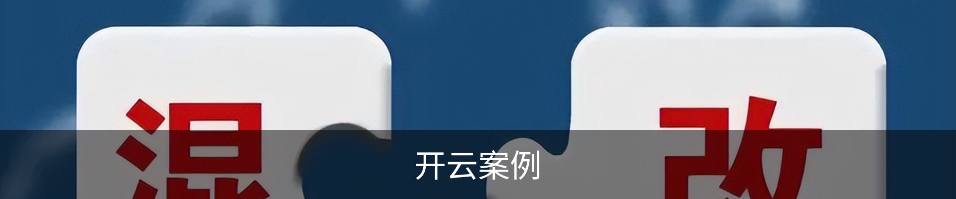 开云案例